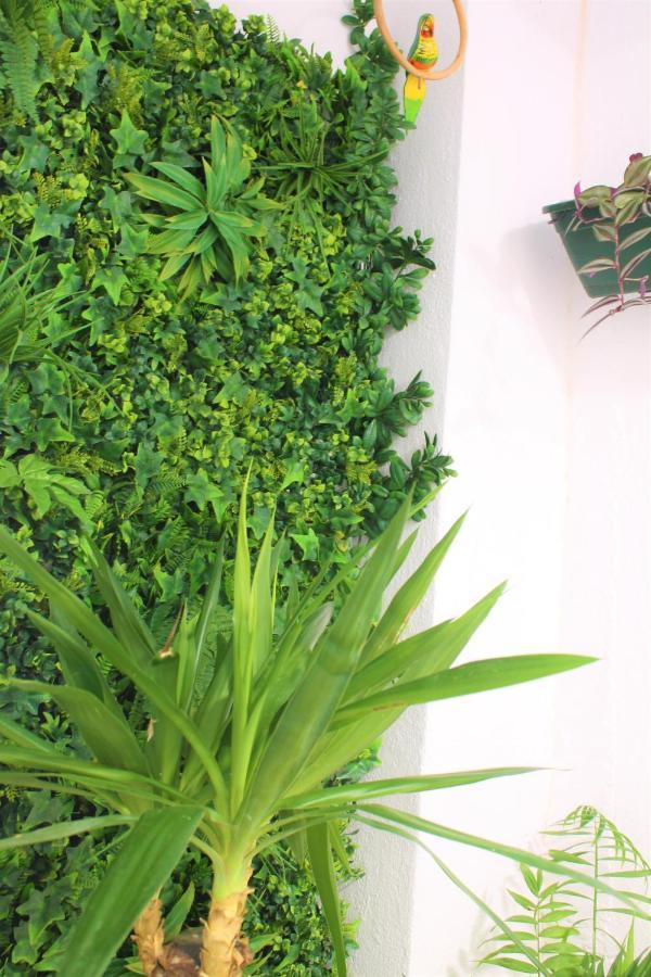 Naturehouse Campo Maior Exterior foto